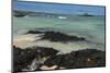 Las Bachas Beach, Santa Cruz Island, Galapagos Islands, Ecuador-Pete Oxford-Mounted Photographic Print