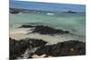 Las Bachas Beach, Santa Cruz Island, Galapagos Islands, Ecuador-Pete Oxford-Mounted Photographic Print