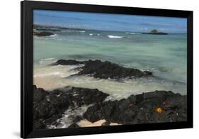 Las Bachas Beach, Santa Cruz Island, Galapagos Islands, Ecuador-Pete Oxford-Framed Photographic Print