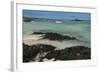 Las Bachas Beach, Santa Cruz Island, Galapagos Islands, Ecuador-Pete Oxford-Framed Photographic Print