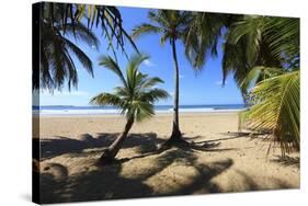 Las Baulas Marine National Park, Playa Grande Beach.-Stefano Amantini-Stretched Canvas