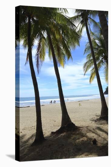 Las Baulas Marine National Park, Playa Grande Beach.-Stefano Amantini-Stretched Canvas