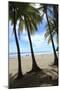 Las Baulas Marine National Park, Playa Grande Beach.-Stefano Amantini-Mounted Photographic Print