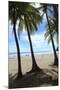 Las Baulas Marine National Park, Playa Grande Beach.-Stefano Amantini-Mounted Photographic Print