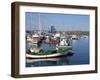 Las Galletas, Tenerife, Canary Islands, Spain, Atlantic, Europe-Jeremy Lightfoot-Framed Photographic Print