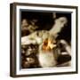 Las Jaras (The Arrows) Remix-Gideon Ansell-Framed Photographic Print