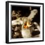 Las Jaras (The Arrows) Remix-Gideon Ansell-Framed Photographic Print