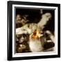 Las Jaras (The Arrows) Remix-Gideon Ansell-Framed Photographic Print