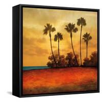 Las Palmas I-Gregory Williams-Framed Stretched Canvas