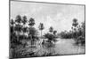 Las Palmes Lagunas, Near the Mouth of the Pilcomayo, 1895-null-Mounted Giclee Print