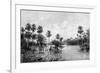 Las Palmes Lagunas, Near the Mouth of the Pilcomayo, 1895-null-Framed Giclee Print