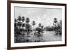 Las Palmes Lagunas, Near the Mouth of the Pilcomayo, 1895-null-Framed Giclee Print