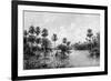 Las Palmes Lagunas, Near the Mouth of the Pilcomayo, 1895-null-Framed Giclee Print
