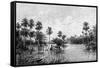 Las Palmes Lagunas, Near the Mouth of the Pilcomayo, 1895-null-Framed Stretched Canvas