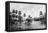 Las Palmes Lagunas, Near the Mouth of the Pilcomayo, 1895-null-Framed Stretched Canvas