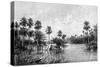 Las Palmes Lagunas, Near the Mouth of the Pilcomayo, 1895-null-Stretched Canvas