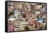 Las Penas barrio, historic centre on the hill of Cerro Santa Ana, Guayaquil, Ecuador, South America-Tony Waltham-Framed Stretched Canvas