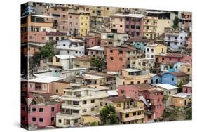 Las Penas barrio, historic centre on the hill of Cerro Santa Ana, Guayaquil, Ecuador, South America-Tony Waltham-Stretched Canvas