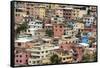 Las Penas barrio, historic centre on the hill of Cerro Santa Ana, Guayaquil, Ecuador, South America-Tony Waltham-Framed Stretched Canvas