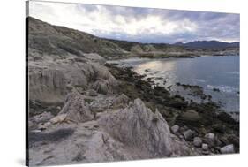 Las Serenitas, wind and wave erosion sculptures, Cabo Pulmo, UNESCO World Heritage Site, Baja Calif-Peter Groenendijk-Stretched Canvas
