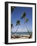 Las Terrenas, Samana Peninsula, Dominican Republic, West Indies, Caribbean, Central America-Angelo Cavalli-Framed Photographic Print