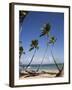 Las Terrenas, Samana Peninsula, Dominican Republic, West Indies, Caribbean, Central America-Angelo Cavalli-Framed Photographic Print