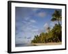 Las Terrenas, Samana Peninsula, Dominican Republic, West Indies, Caribbean, Central America-Angelo Cavalli-Framed Photographic Print