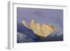 Las Torres before Sunrise. Torres Del Paine NP. Chile-Tom Norring-Framed Photographic Print