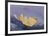 Las Torres before Sunrise. Torres Del Paine NP. Chile-Tom Norring-Framed Photographic Print