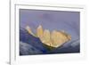 Las Torres before Sunrise. Torres Del Paine NP. Chile-Tom Norring-Framed Photographic Print
