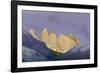 Las Torres before Sunrise. Torres Del Paine NP. Chile-Tom Norring-Framed Photographic Print