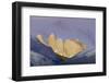 Las Torres before Sunrise. Torres Del Paine NP. Chile-Tom Norring-Framed Premium Photographic Print