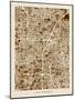 Las Vegas City Street Map-Michael Tompsett-Mounted Art Print