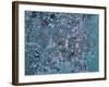 Las Vegas, Nevada-Stocktrek Images-Framed Photographic Print