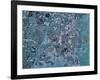 Las Vegas, Nevada-Stocktrek Images-Framed Photographic Print