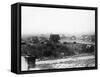 Las Vegas Roots-null-Framed Stretched Canvas