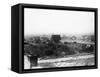 Las Vegas Roots-null-Framed Stretched Canvas