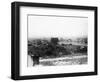 Las Vegas Roots-null-Framed Photographic Print