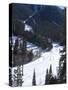 Las Vegas Ski and Snowboard Resort, Mount Charleston, Near Las Vegas, Nevada, United States of Amer-Ethel Davies-Stretched Canvas