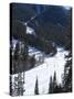 Las Vegas Ski and Snowboard Resort, Mount Charleston, Near Las Vegas, Nevada, United States of Amer-Ethel Davies-Stretched Canvas