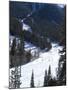 Las Vegas Ski and Snowboard Resort, Mount Charleston, Near Las Vegas, Nevada, United States of Amer-Ethel Davies-Mounted Photographic Print