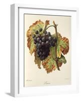 Lasca Grape-A. Kreyder-Framed Giclee Print