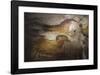 Lascaux Caves - chevaux de course-Historic Collection-Framed Premium Giclee Print