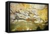 Lascaux Caves, Right Wall of the Hall of Bulls, C. 17,000 BC-null-Framed Stretched Canvas