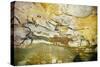 Lascaux Caves, Right Wall of the Hall of Bulls, C. 17,000 BC-null-Stretched Canvas