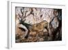 Lascaux: Running Deer-null-Framed Giclee Print