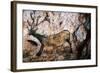 Lascaux: Running Deer-null-Framed Giclee Print