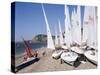 Laser Dinghies, Sidmouth, Devon, England, United Kingdom-Cyndy Black-Stretched Canvas