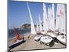 Laser Dinghies, Sidmouth, Devon, England, United Kingdom-Cyndy Black-Mounted Photographic Print