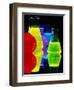 Laser Dyes in Flasks-Charles O'Rear-Framed Premium Photographic Print